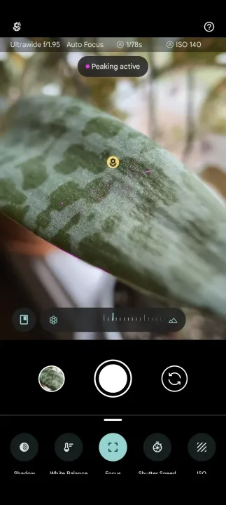 Google Pixel 8 e Pixel 8 Pro Screen