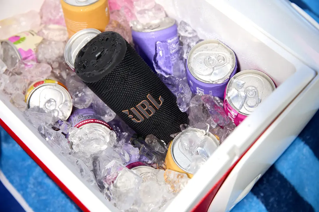 JBL Grip: Suono e Luce in un Unico Speaker Bluetooth