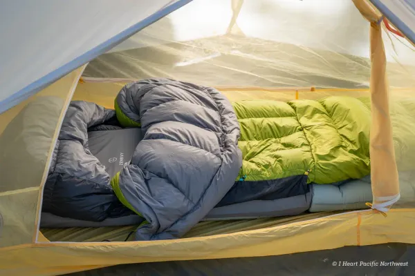 Zenbivy Light Bed 2025